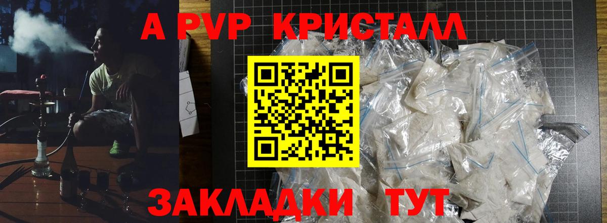A PVP СК КРИС Ставрополь