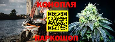 стаф Волгодонск