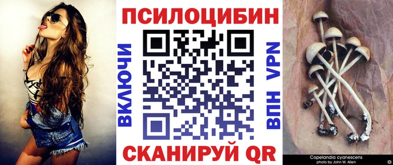 купить наркоту Ставрополь Галлюциногенные грибы Cubensis